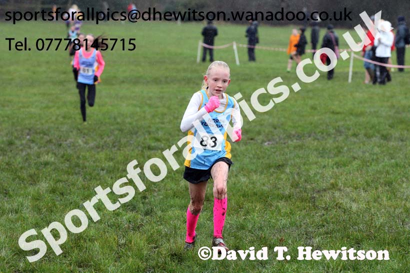 Minor girls Northern Inter Counties Schools Cross Country, Stockton. Photo: David T. Hewitson/Sports for All Pics